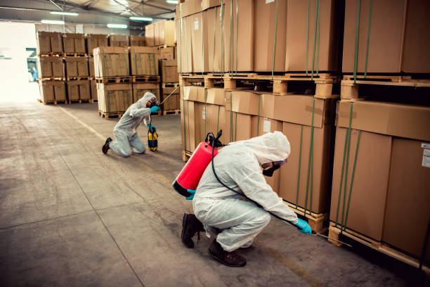 Best Fumigation Services  in USA